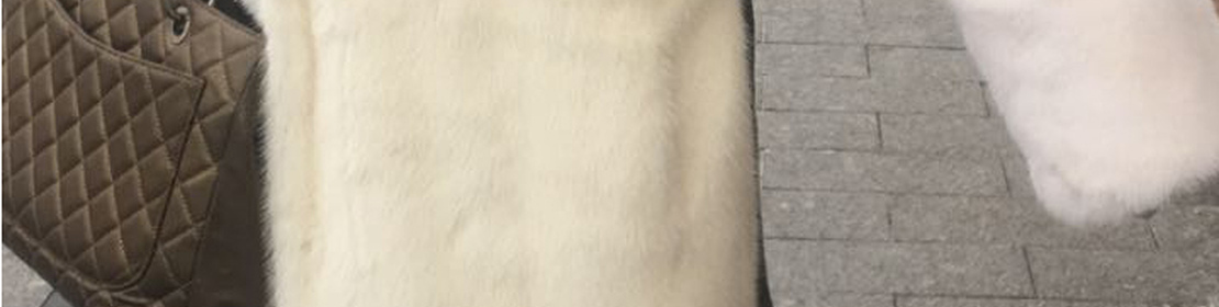 Любимая шуба поменяла цвет - что делать?!. Блог FUR EXPERT